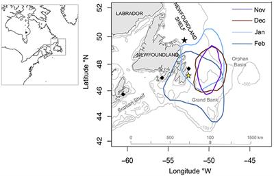 Taking the Bite Out of Winter: Common Murres (Uria aalge) Push Their Dive Limits to Surmount Energy Constraints